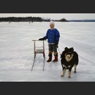 A Finnish Lapphund on a lake